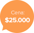 catalog/demo/icon-price.png